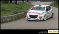 24 Peugeot 208 VTI R2 D.De Tommaso - M.Ferrara (7)